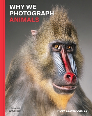 Book cover for Why We Photograph Animals