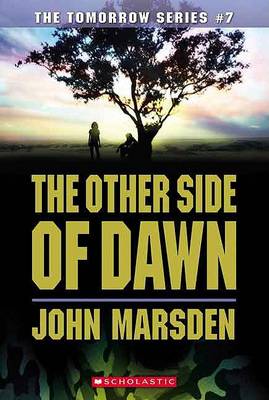 Book cover for The Other Side of Dawn