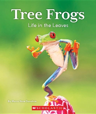 Cover of Tree Frogs: Life in the Leaves (Nature's Children)