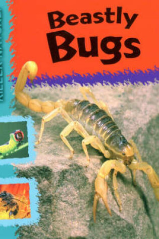 Cover of Beastly Bugs