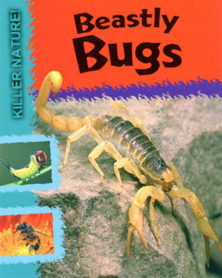 Cover of Beastly Bugs