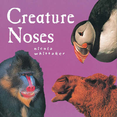 Book cover for Creature Noses