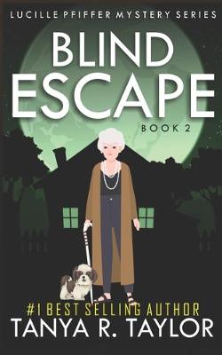 Book cover for Blind Escape