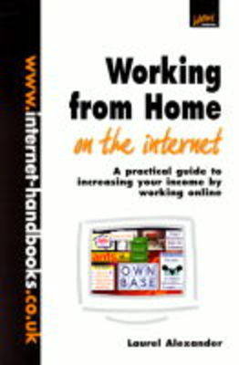 Book cover for Working from Home on the Internet