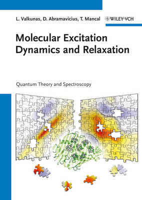 Book cover for Molecular Excitation Dynamics and Relaxation