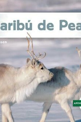 Cover of Caribú de Peary (Peary Caribou)