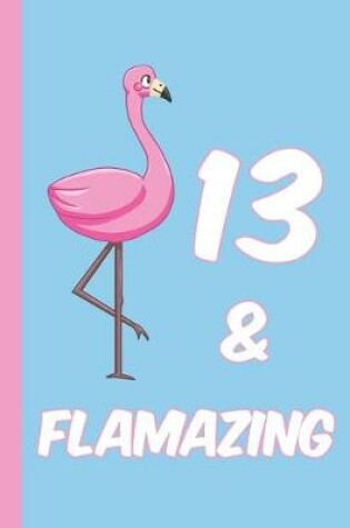 Cover of 13 and Flamazing