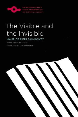 Book cover for The Visible and the Invisible