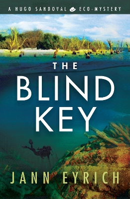 Cover of The Blind Key