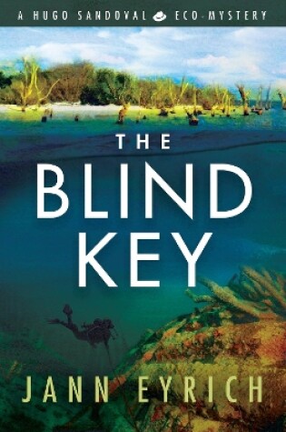 Cover of The Blind Key