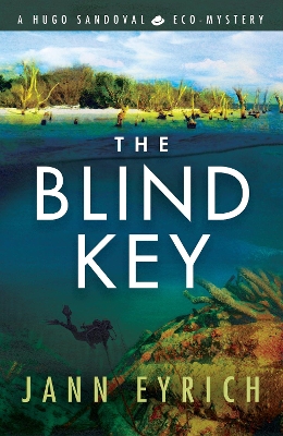 Cover of The Blind Key