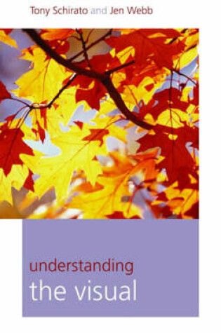 Cover of Understanding the Visual