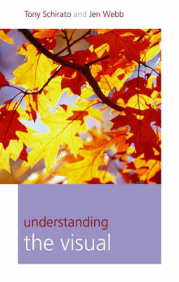 Book cover for Understanding the Visual