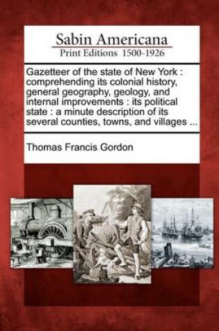 Cover of Gazetteer of the State of New York