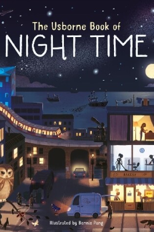 Cover of Usborne Book of Night Time