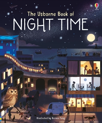 Book cover for Usborne Book of Night Time