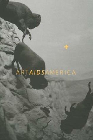 Cover of Art AIDS America
