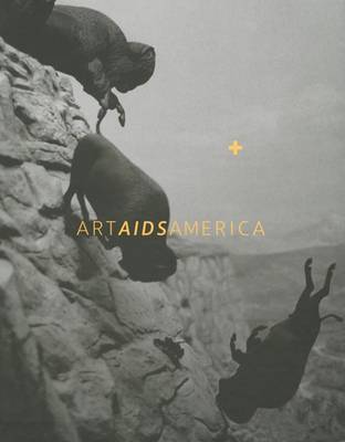 Book cover for Art AIDS America