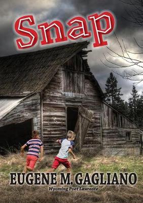 Book cover for Snap