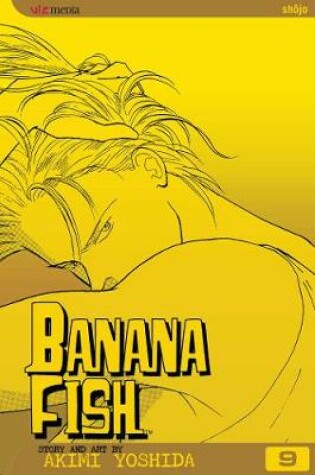 Cover of Banana Fish, Vol. 9
