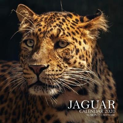 Book cover for Jaguar Calendar 2020