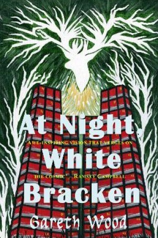 Cover of At Night White Bracken