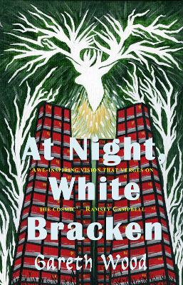 Book cover for At Night White Bracken