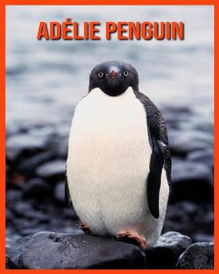 Book cover for Adélie Penguin