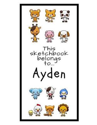 Book cover for Ayden Sketchbook