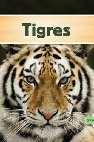 Cover of Tigres (Tigers) (Spanish Version)