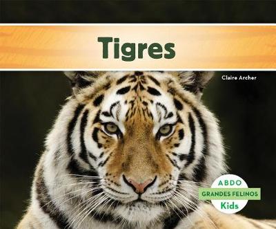Cover of Tigres (Tigers) (Spanish Version)