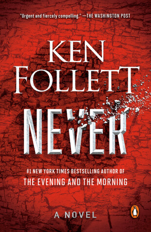 Book cover for Never