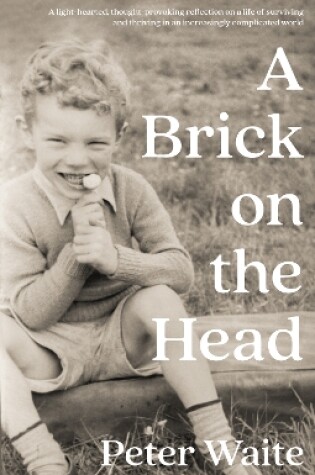 Cover of A Brick on the Head