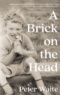 Book cover for A Brick on the Head