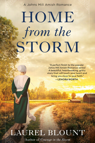 Cover of Home from the Storm