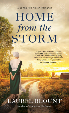 Cover of Home from the Storm