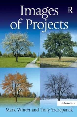 Cover of Images of Projects