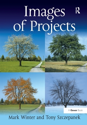 Book cover for Images of Projects