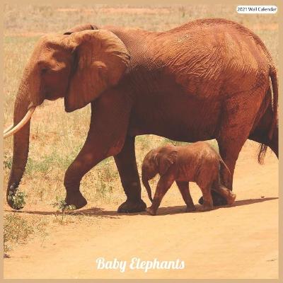 Book cover for Baby Elephants 2021 Wall Calendar