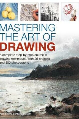 Cover of Mastering the Art of Drawing