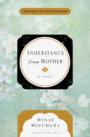 Book cover for Inheritance From Mother