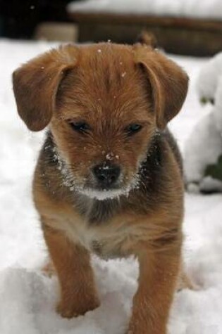 Cover of Terrier Puppy in the Snow (for the Love of Dogs)