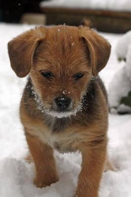 Book cover for Terrier Puppy in the Snow (for the Love of Dogs)