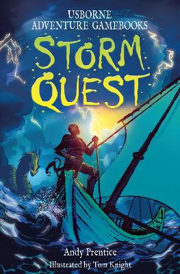 Book cover for Storm Quest