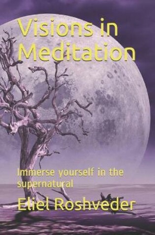 Cover of Visions in Meditation