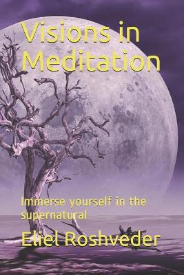 Book cover for Visions in Meditation