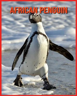 Book cover for African Penguin