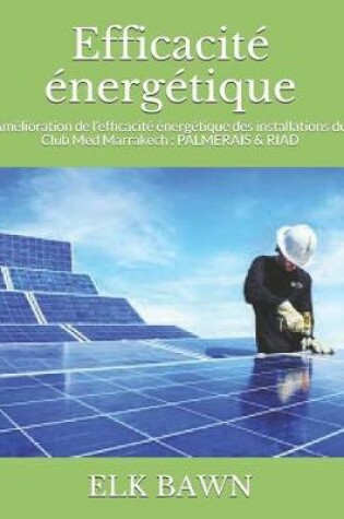 Cover of Efficacite energetique