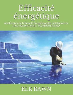 Book cover for Efficacite energetique