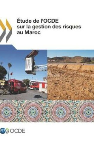 Cover of Etude de l'OCDE sur la gestion des risques au Maroc